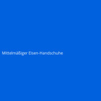 Mittelm&auml;&szlig;iger Eisen-Handschuhe