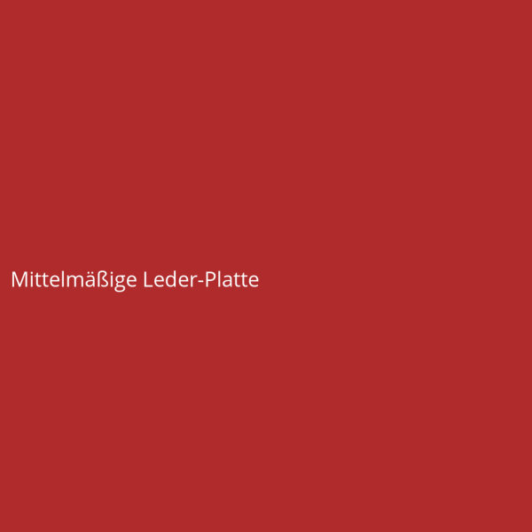 Mittelm&auml;&szlig;ige Leder-Platte